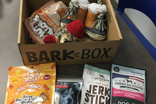 barkbox 1