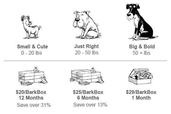 sizes and packages